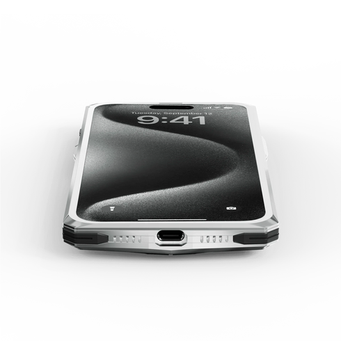 iPhone Case / RSC15 - Silver Lion