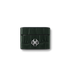 AirPods Pro Case / Leather - Green